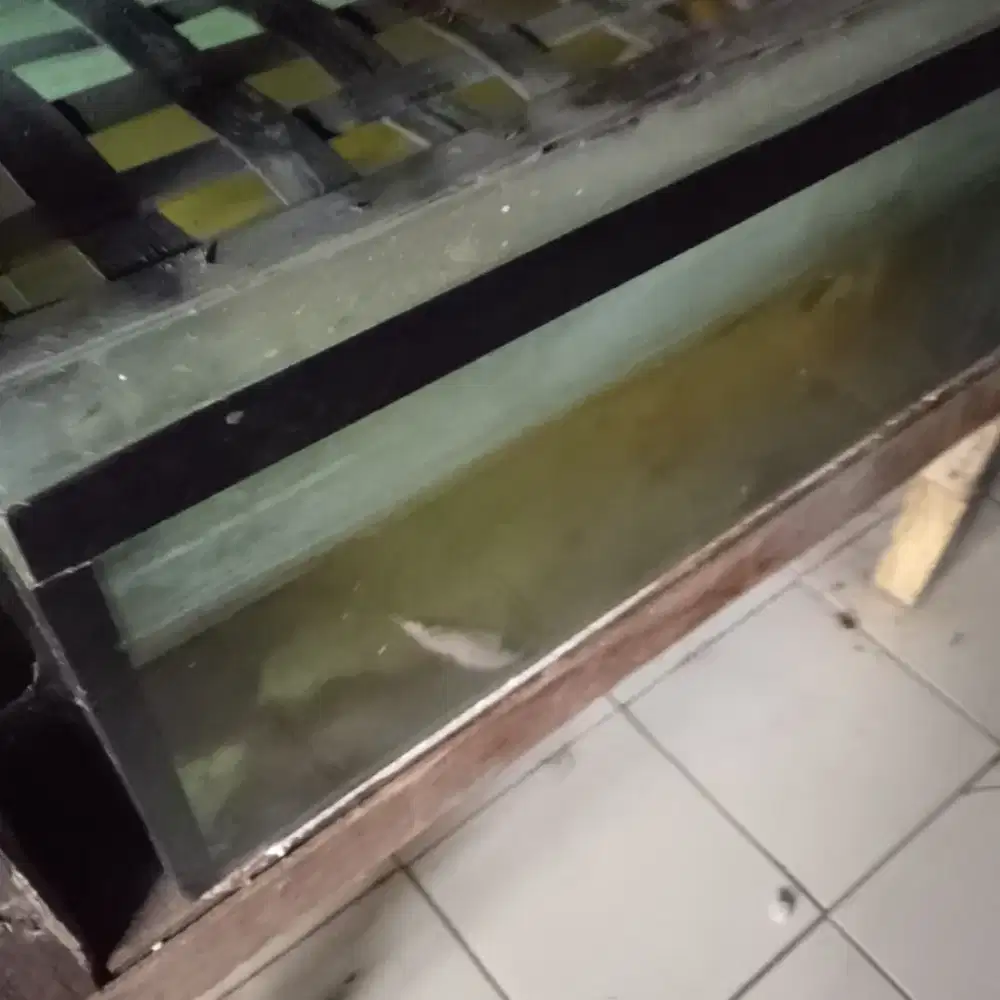 Aquarium ikan 40x1mt ada 5 Ms bagus