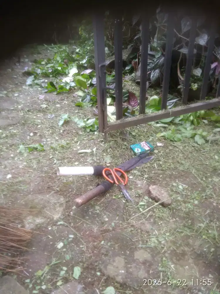 Perawatan taman dan potong rumput