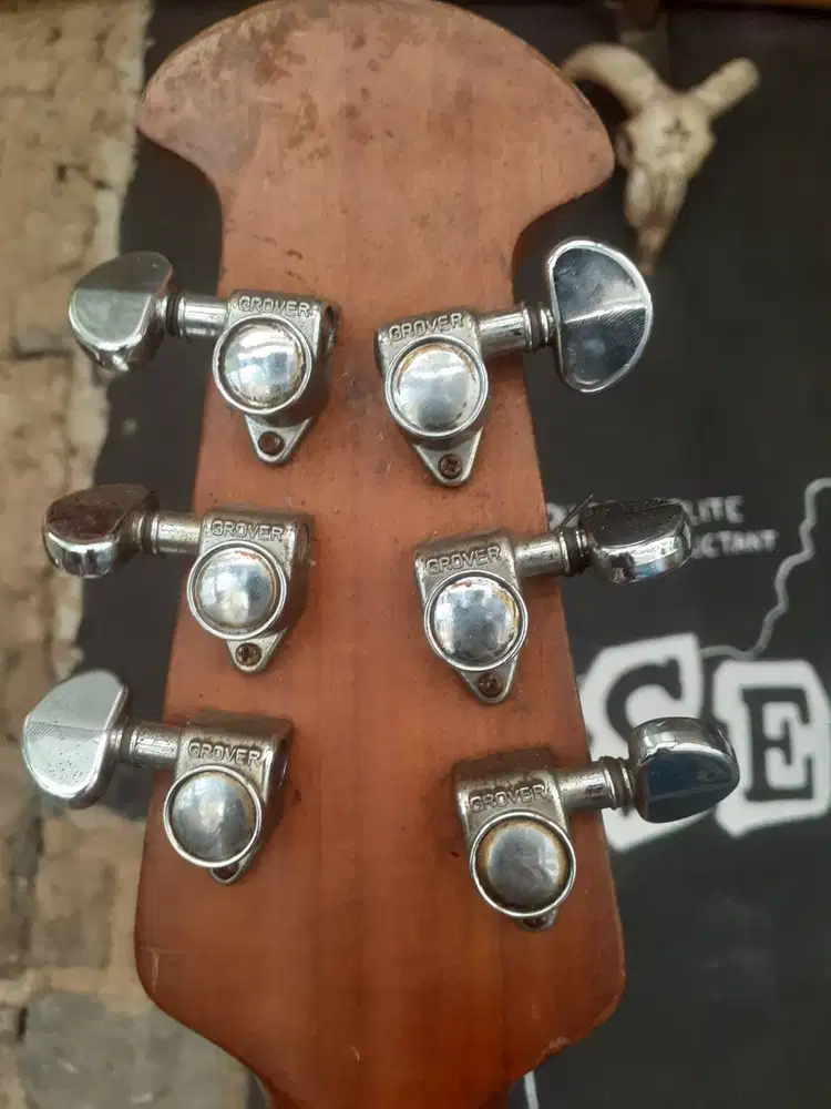 Ovation guitar allegro