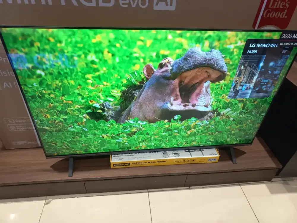 TV LG 4K 55 INCH (55NU855BPSA)