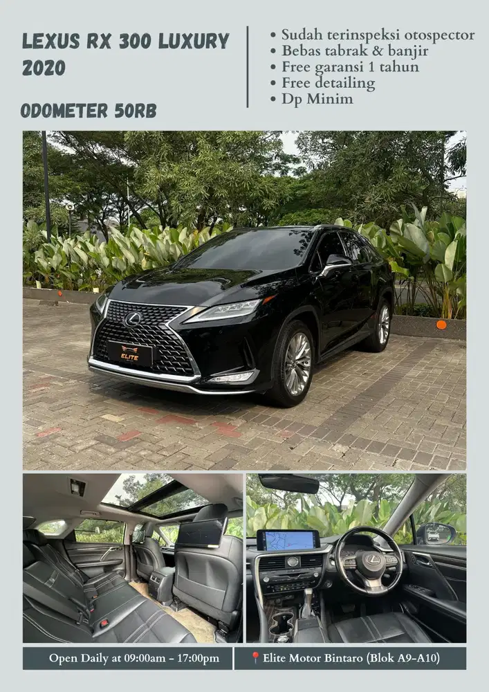 Lexus RX 300 Luxury 2020