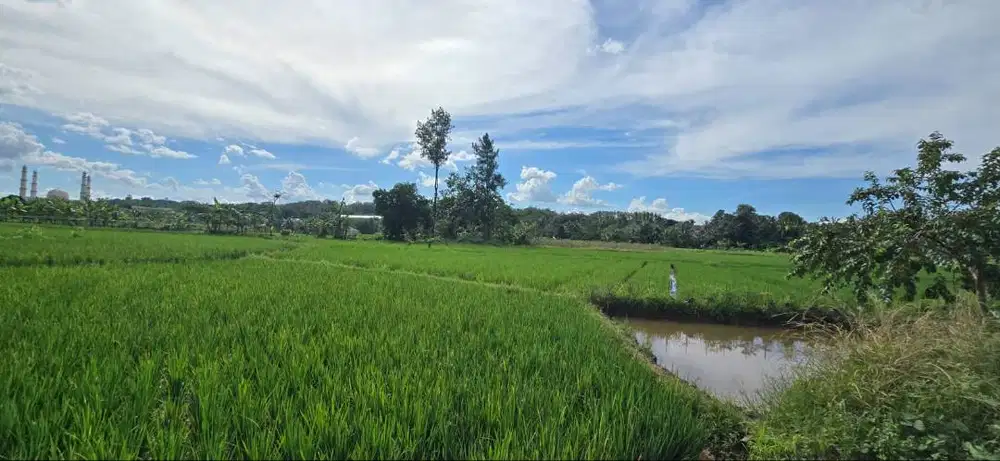 Dijual Tanah Strategis 3.304 m² di Pamagersari Jasinga Bogor
