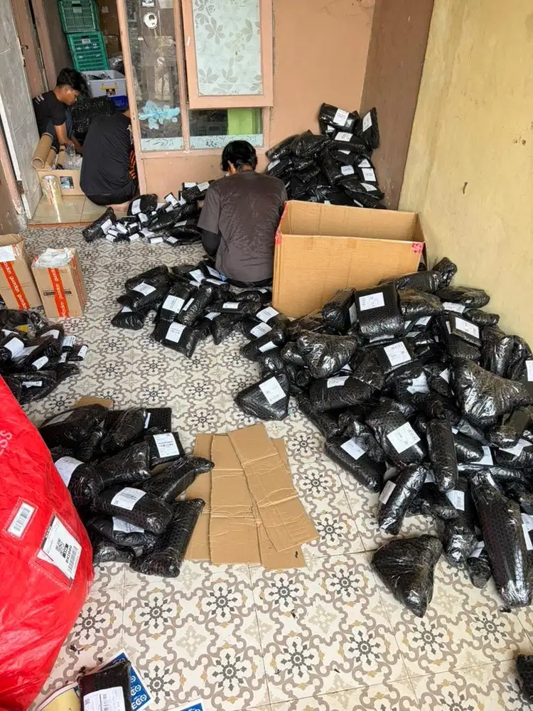 Admin olshop shopee dan tiktok
