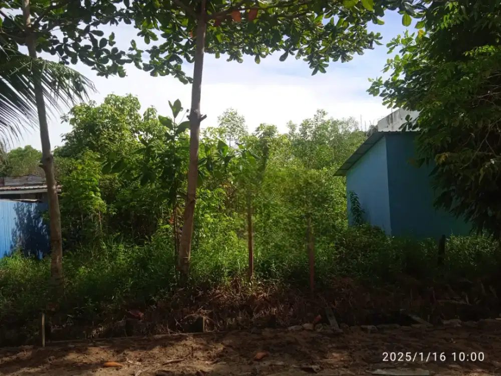 DIJUAL TANAH KAVLING Uk. 20X30 m2 di PUPUK – EK