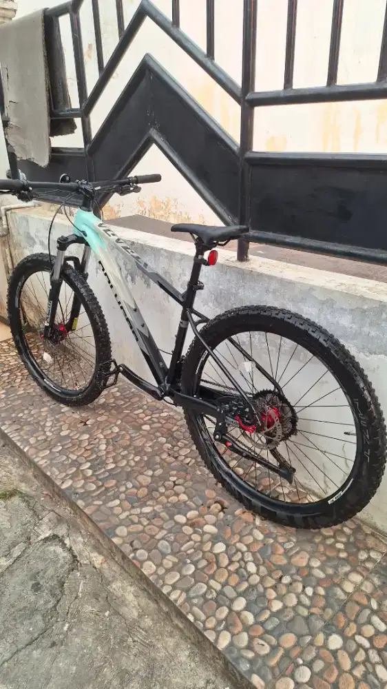 Polygon xtrada 5
