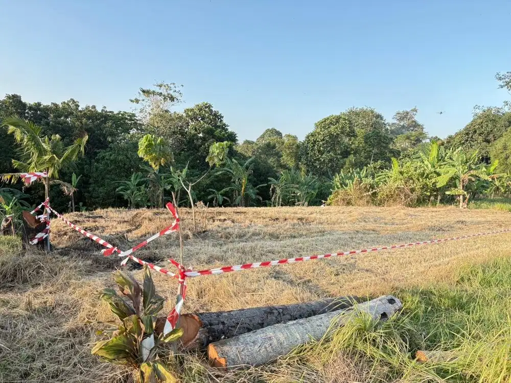 TANAH LC SANGGULAN (belakang mcD Tabanan)