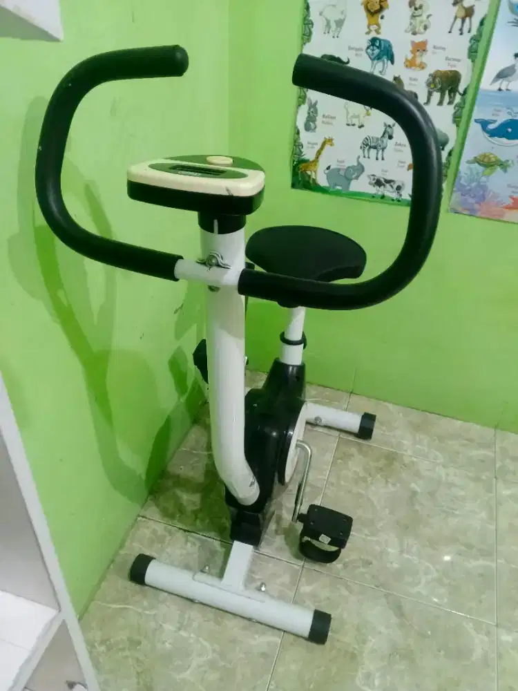 Sepeda statis spin bike eco fitnes belt mini