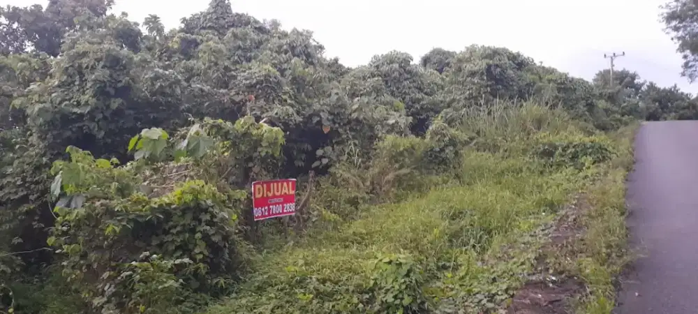 Dijual Tanah Komersial 7.000 m² di Lahat Selatan – Lokasi Strategis