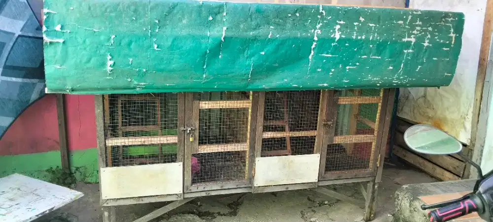 Kandang hewan 2 pintu