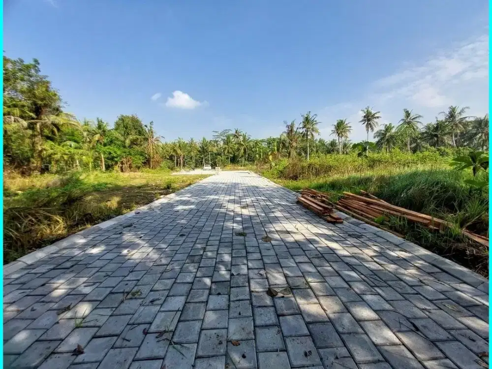 Tanah Dijual Jogja di Tawangsari Dekat Terminal Wates