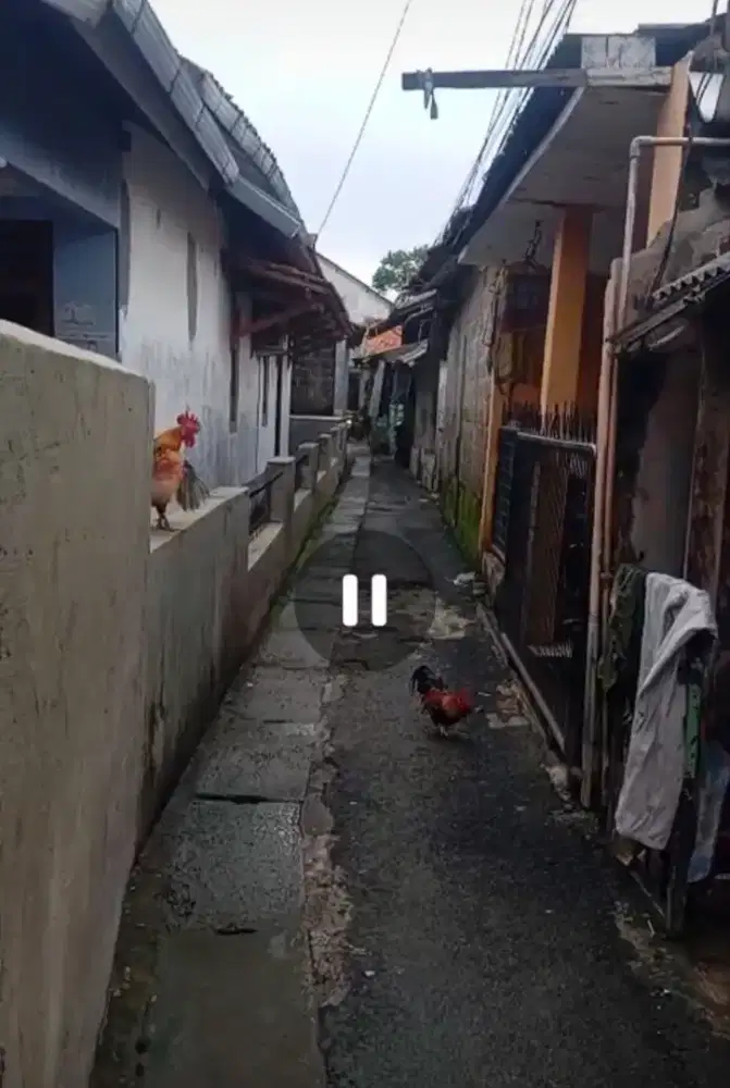 Dijual Rumah 1 Petak