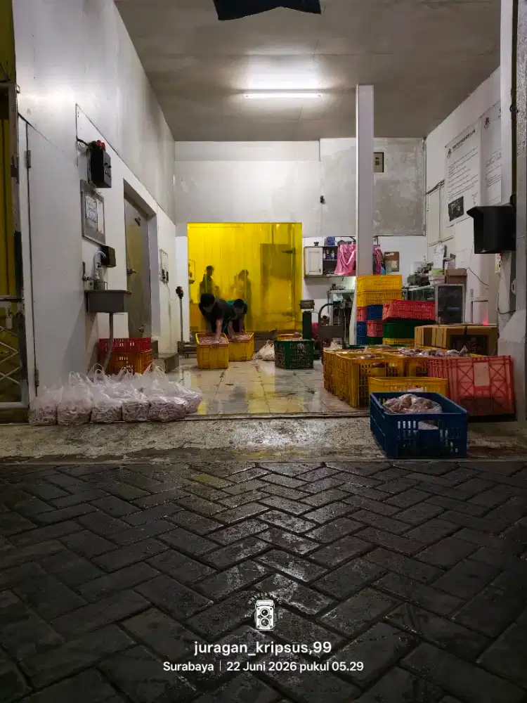 Pegawai serabutan cowok dan Pembantu rumah tanggga  serabutan
