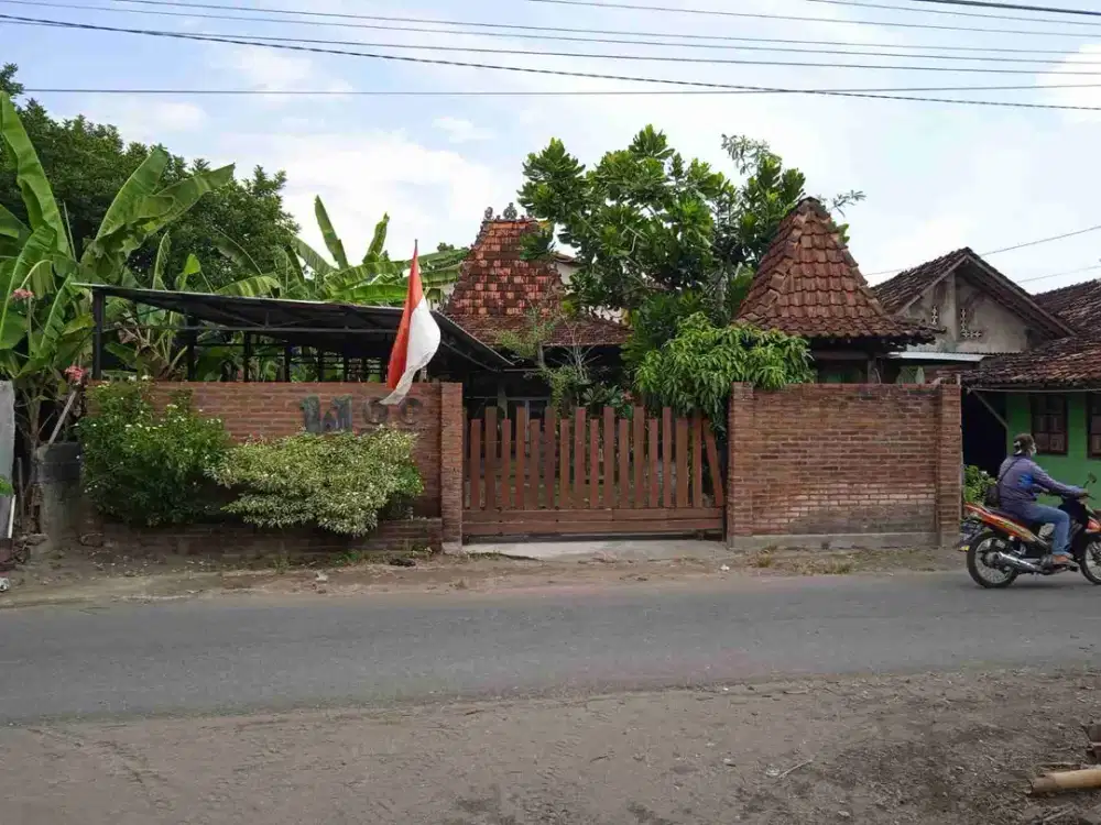 Tanah Strategis Bonus Joglo Lawasan dan Sarang Burung Walet Di Kasongan, Bantul