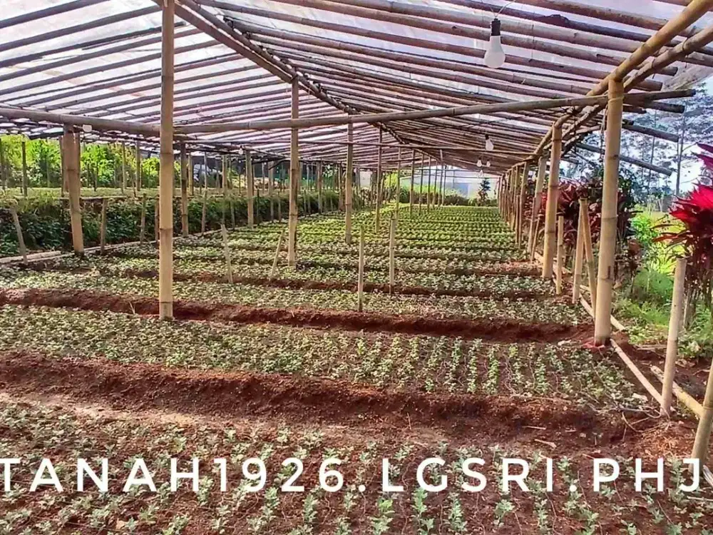 Dijual tanah luas matang subur pinggir jalan view bagus asri sejuk