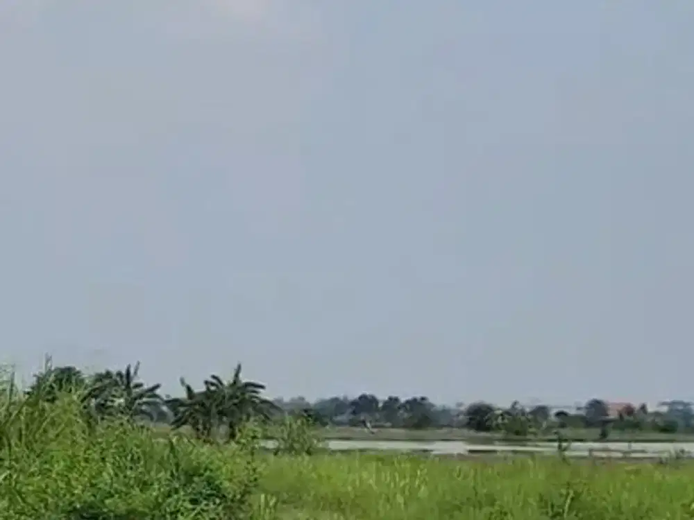 Dijual Tanah Kavling SHM di Raya Leker Rejo Cerme Gresik