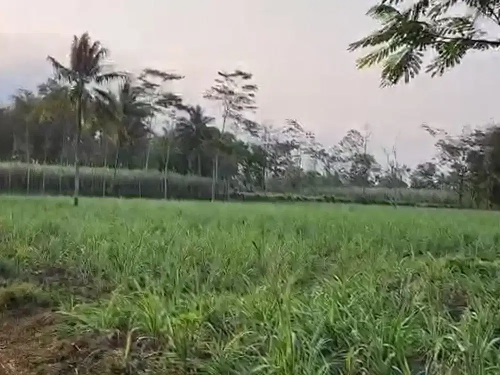Dijual Tanah Kavling SHM di Desa Bakalan Bululawang Malang