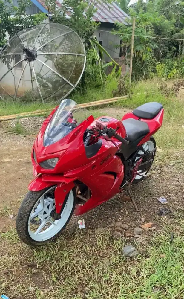 Kawasaki 250 2009