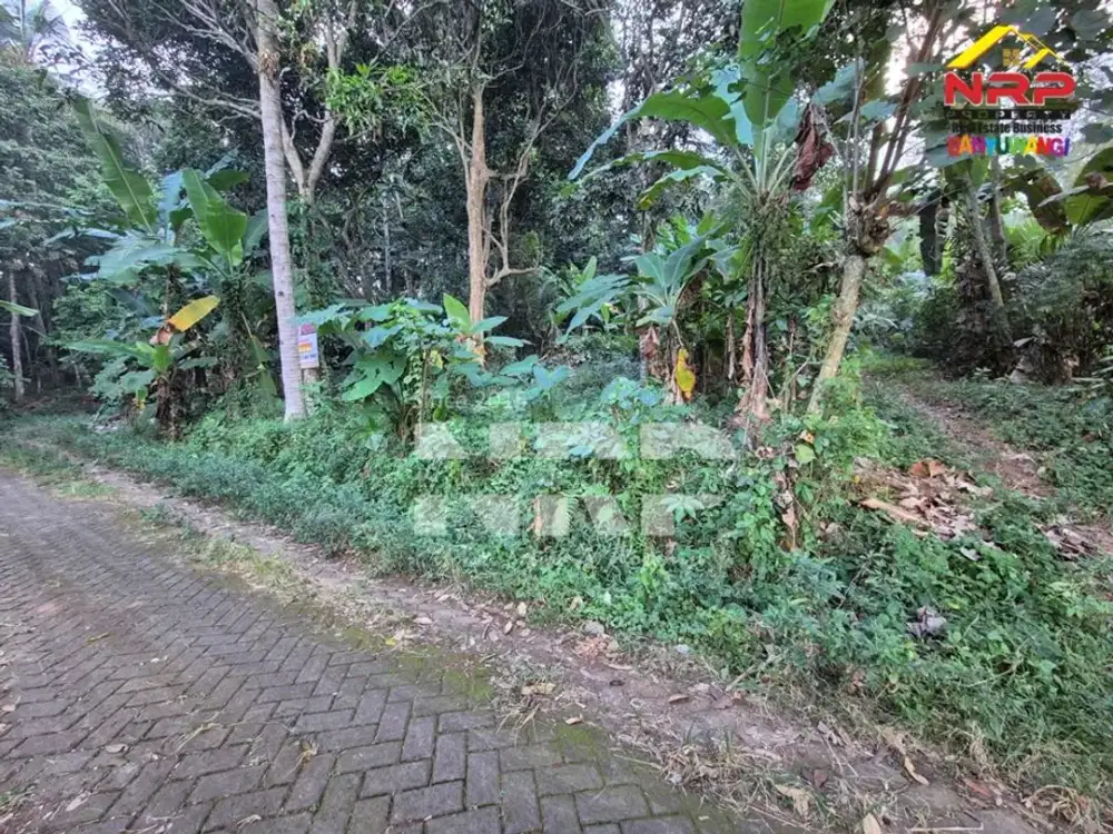 Dijual Tanah Kebun Murah 100 Jutaan di Desa Jelun, Glagah - Banyuwangi