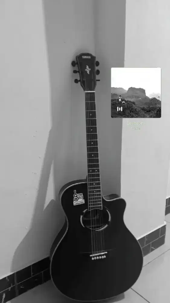 Gitar Akustik APX500 Merek Yahama Tanam Besi Full meranti