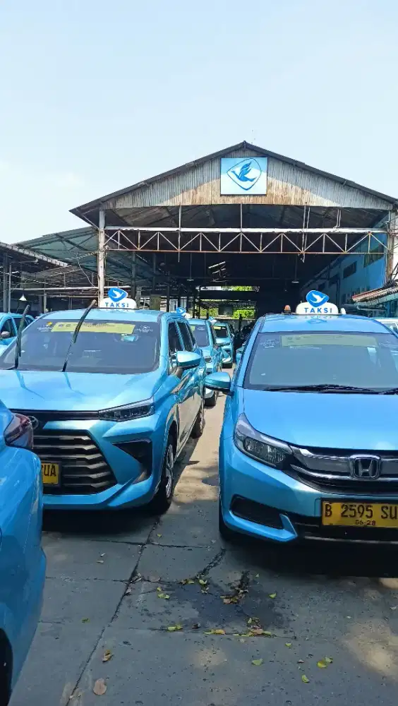 Lowongan driver taxi blue bird group