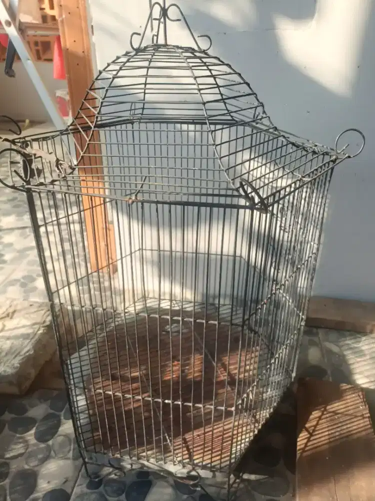 sangkar besi burung beo.suren dan paruh bengkok