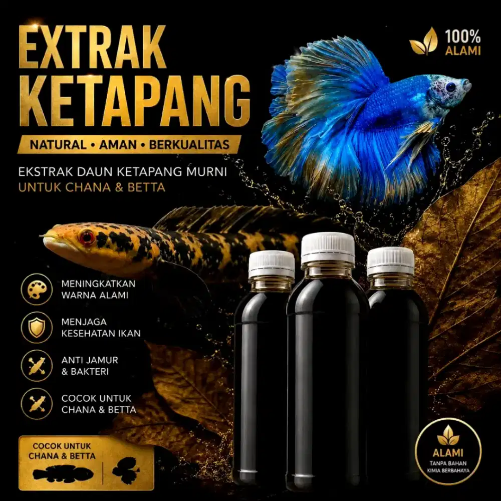 Extrak Daun Ketapang 100ml