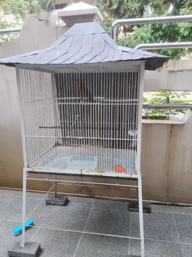 Kandang besi buat ayam / burung + isinya .
