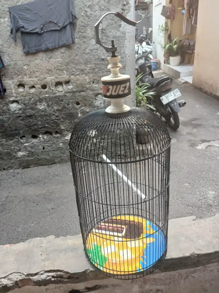 Kandang burung / sangkar burung