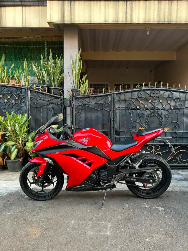 KAWASAKI NINJA 250