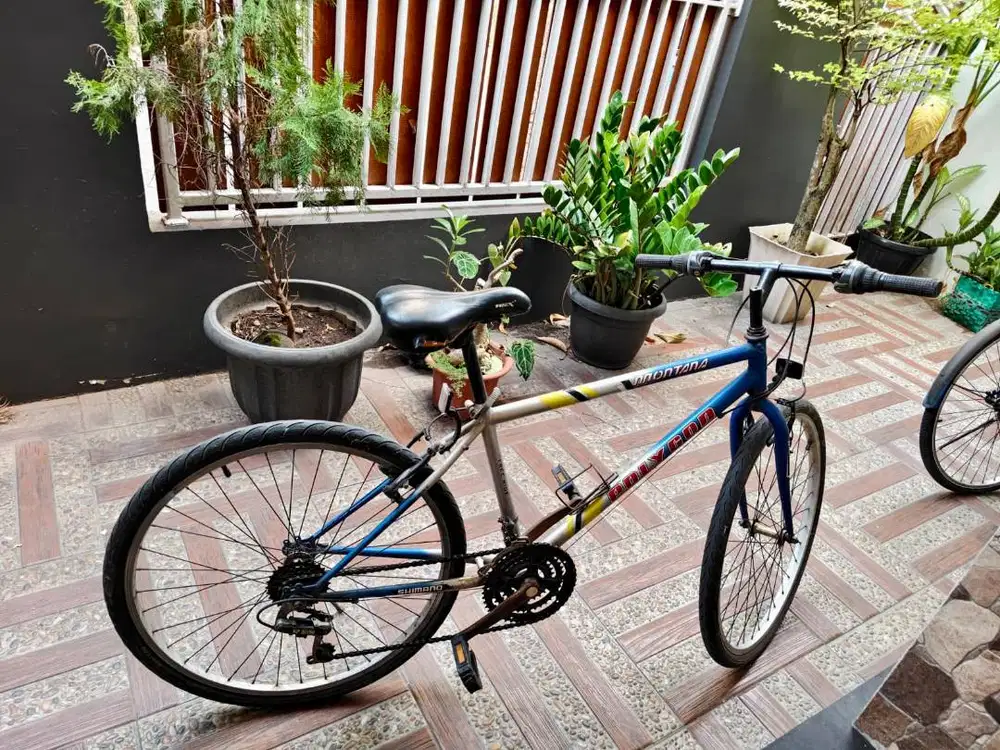 Sepeda MTB Polygon Montana, Shimano, Cat Original