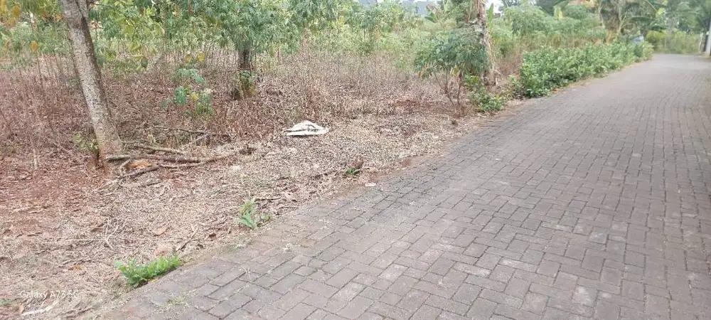 Jual tanah 105m2 jl mulawarman timur tembalang