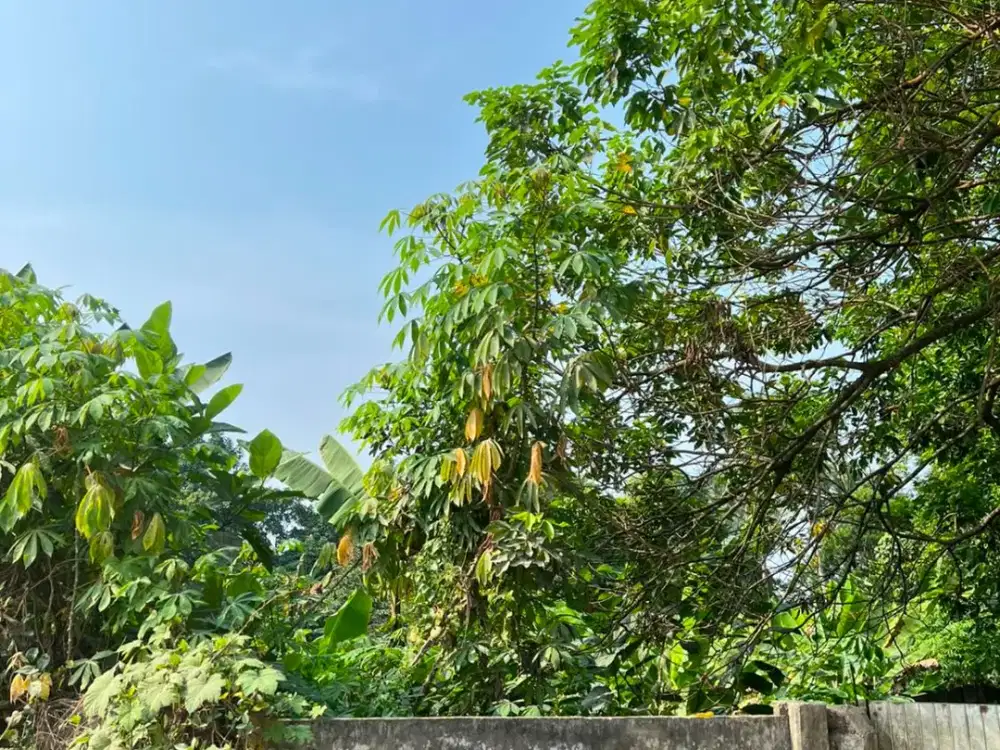 Dijual Tanah Kawasan industri dan pergudangan Cisauk Akses kontainer 40 ft