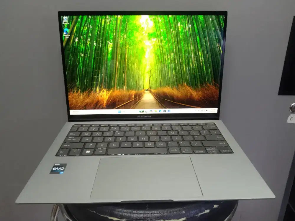 Asus ZenBook S13 OLED 
 Inte Evo i7 1355U/Ram 16Gb/SSD 1TB Nvme