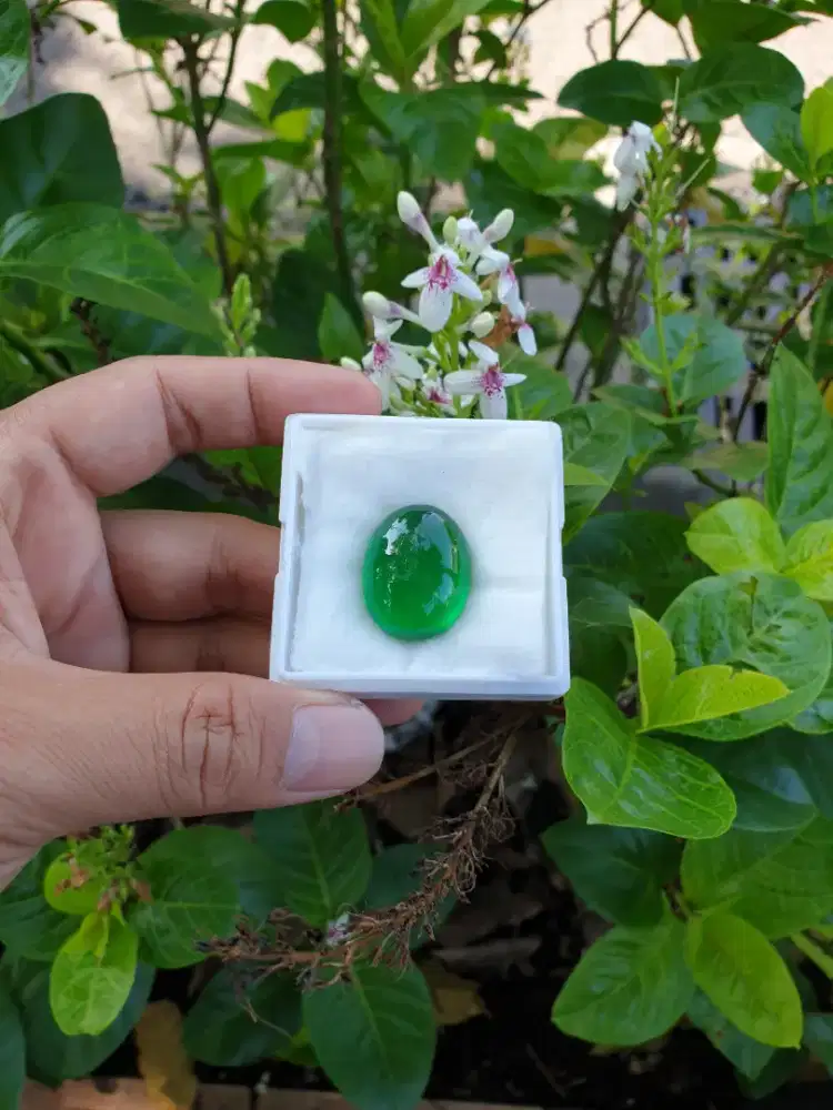 Natural Jadeite jade 49 crt