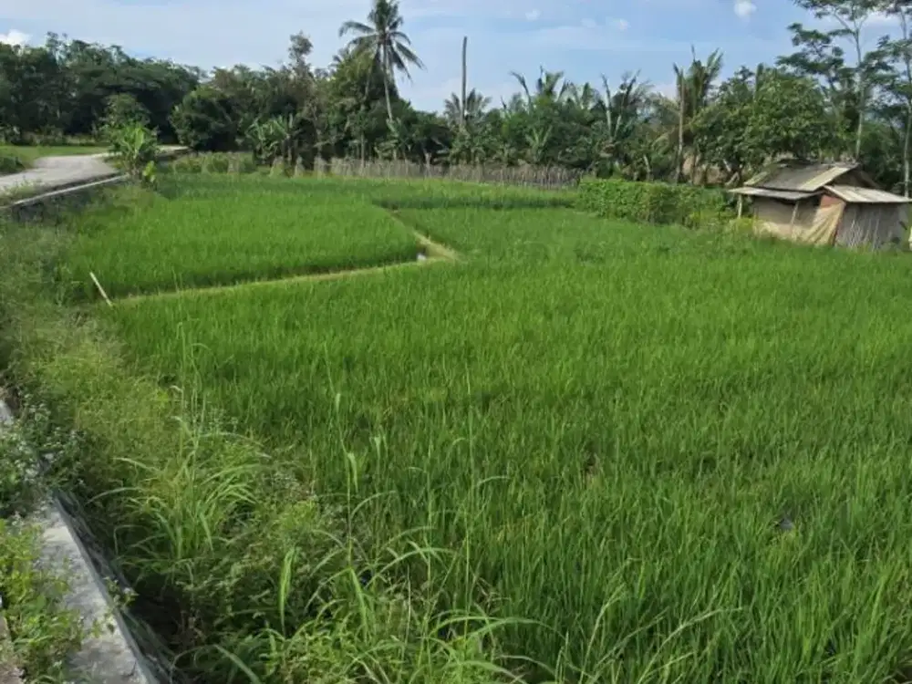 Dijual Tanah Strategis 3.304 m² di Pamagersari Jasinga Bogor
