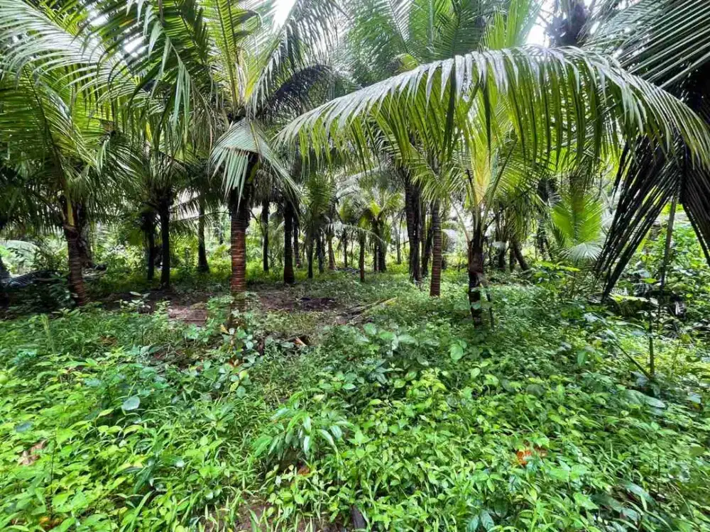 Tanah Pariwisata Los Sungai View Laut Gianyar