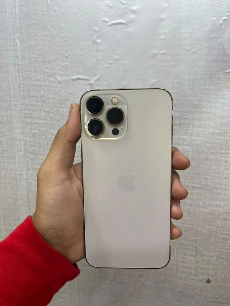 Iphone 13 promax 256gb