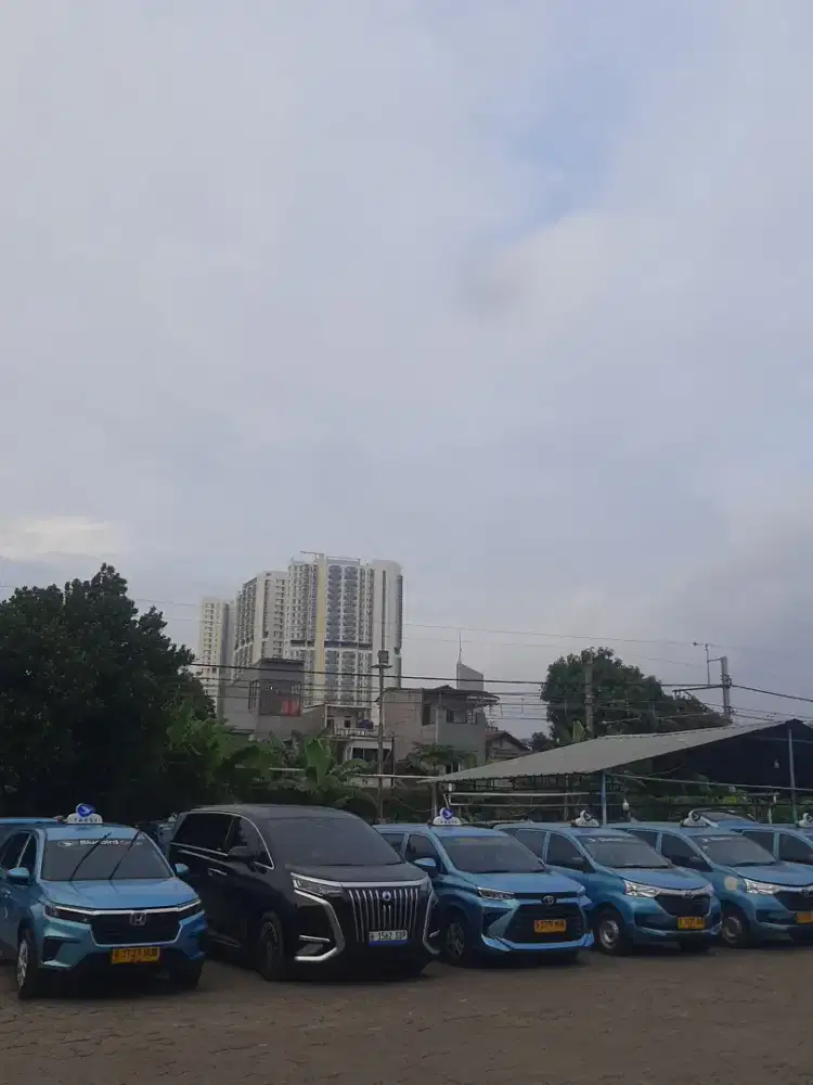 DIBUTUHKAN DRIVER BLUE BIRD