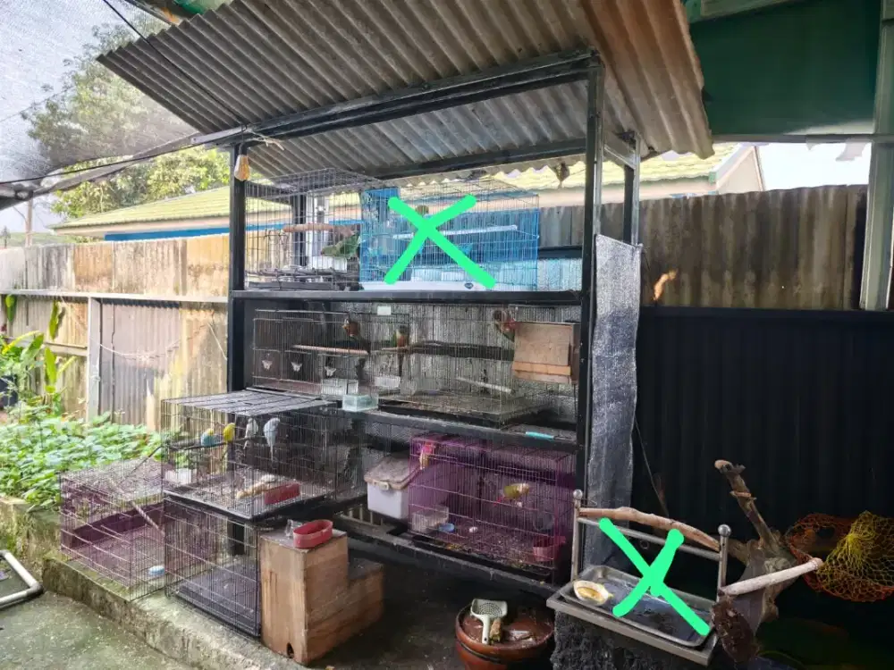 kandang kucing dan burung
