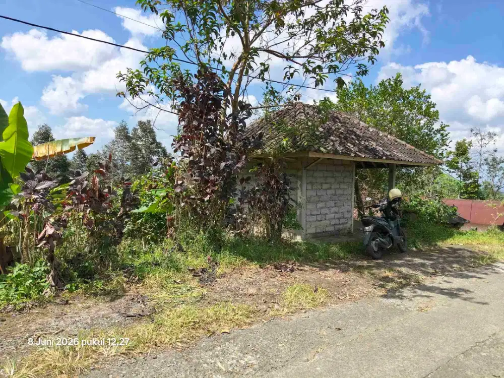 Tanah Zona Kuning View Gunung di Jatiluwih Penebel Bali