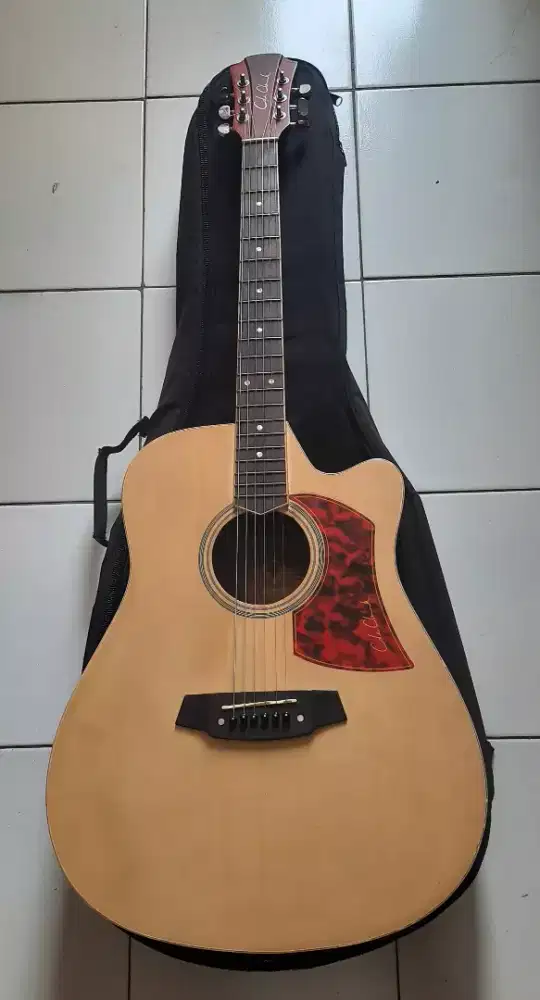 Acoustic Ellectrik COLE CLARK Jumbo Guitar.