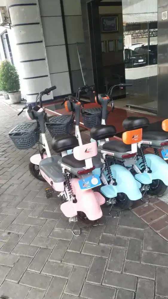 Ngga pakai mahal Sepeda Listrik Guozuo