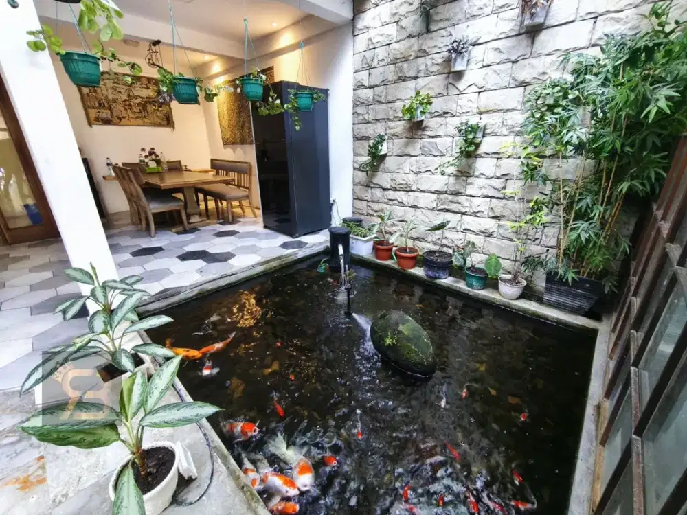 RUMAH MEWAH SETRA SARI INDAH Sukajadi Sukarasa Sukasari Bandung Harga Nego