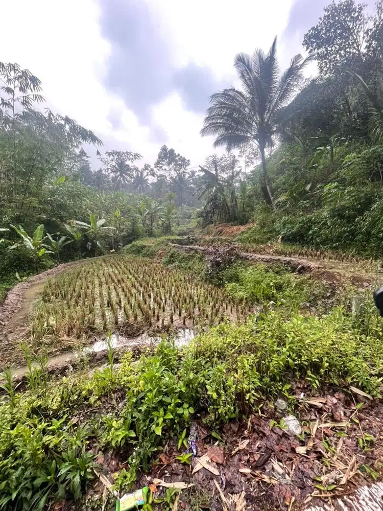 tanah darat dijual