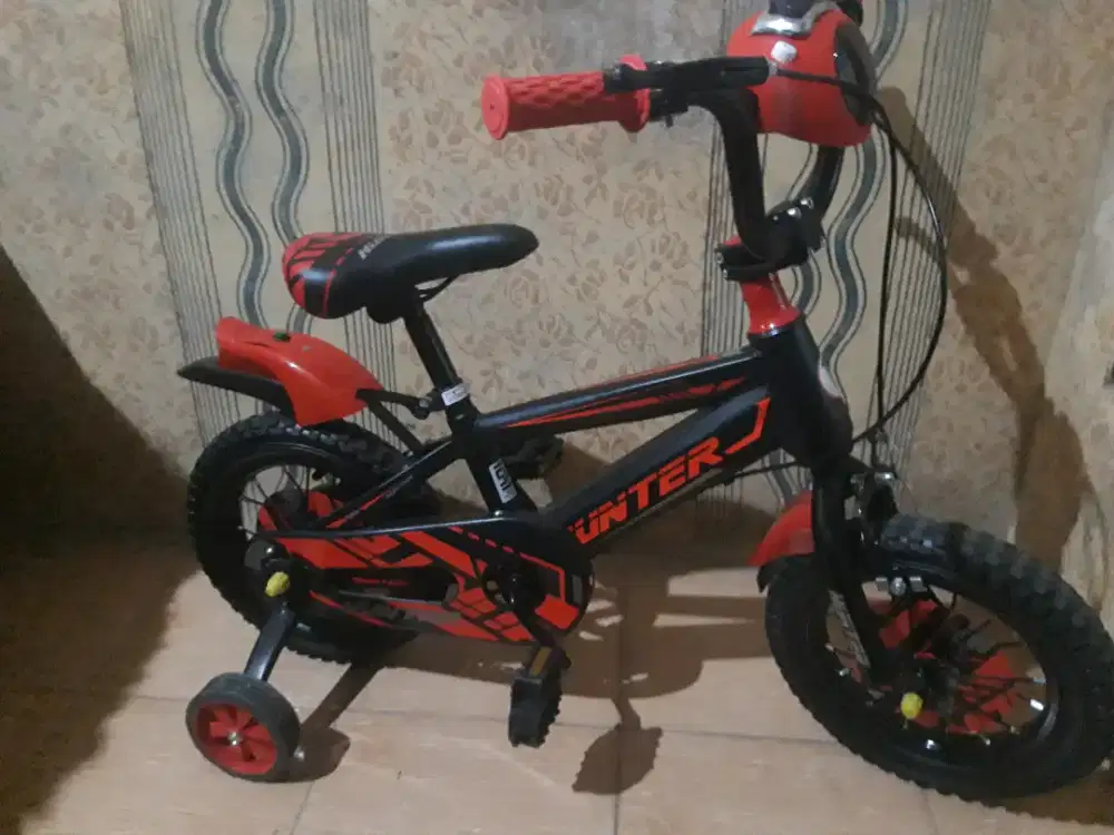 Dijual sepeda anak normal semua