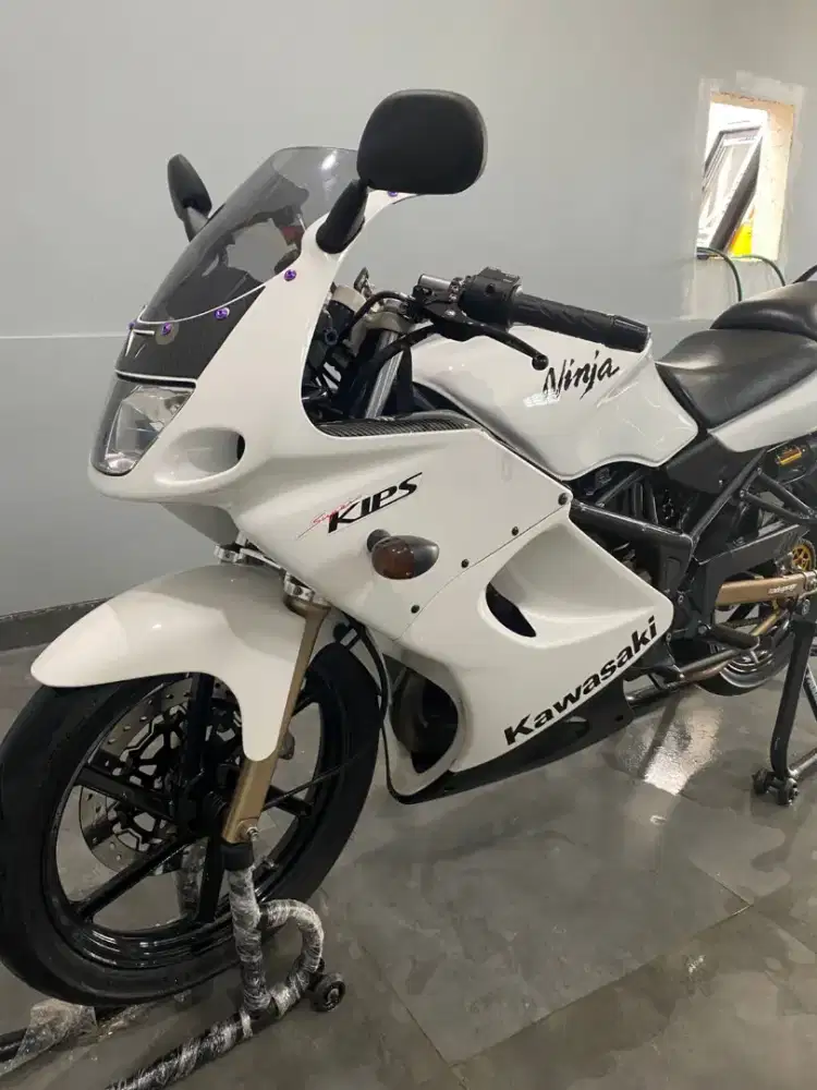 Ninja rr old ckd 2009 albino (antik)