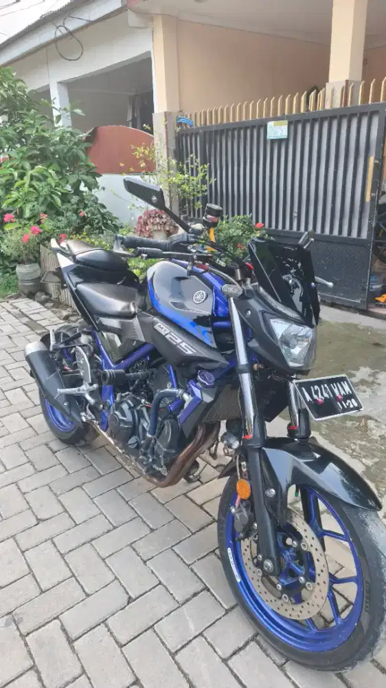 Yamaha MT 25 2018