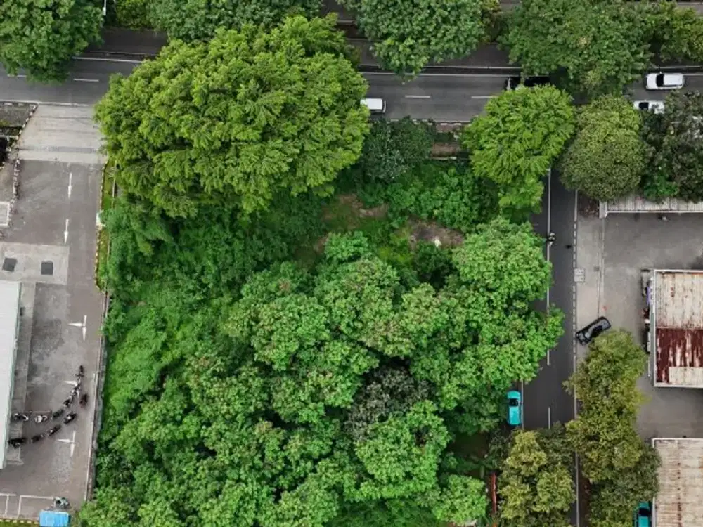 TANAH PREMIUM CORNER LAND DI SIMPRUG JAKARTA SELATAN