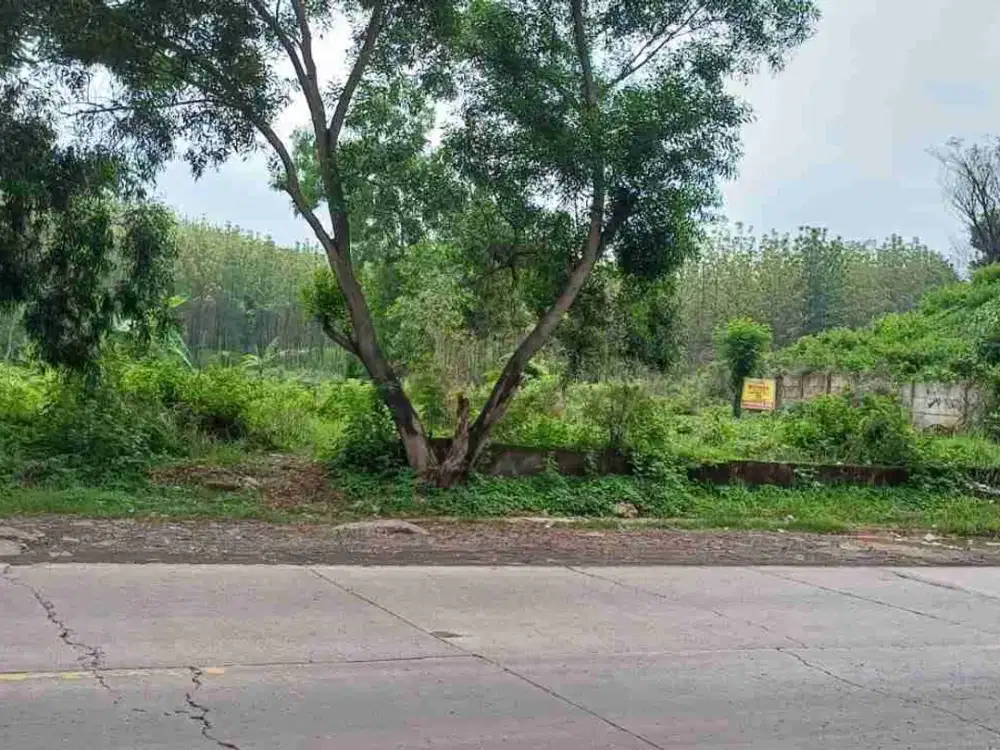 Jual Tanah di Jl Raya Palimanan Kabupaten Cirebon