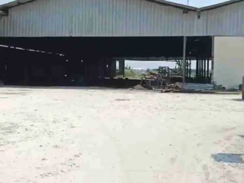 DISEWAKAN GUDANG MRANGGEN DEMAK